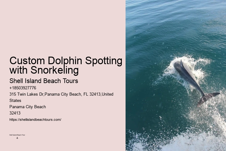 Beach Dolphin