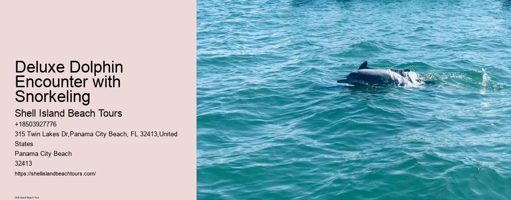 Deluxe Dolphin Encounter with Snorkeling