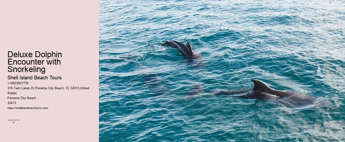 Dolphin