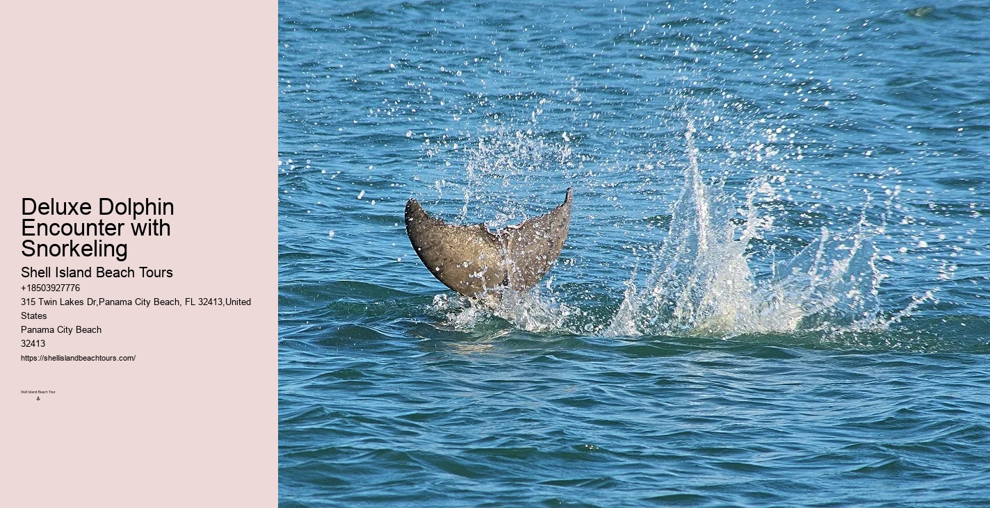 Can You Wear Sunscreen When Swimming With Dolphins