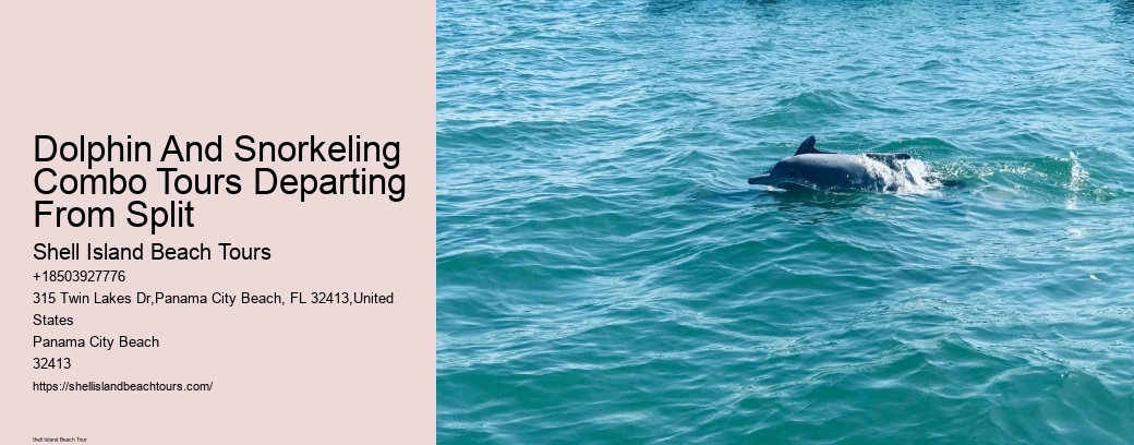 Dolphin And Snorkeling Combo Tours Departing From Split