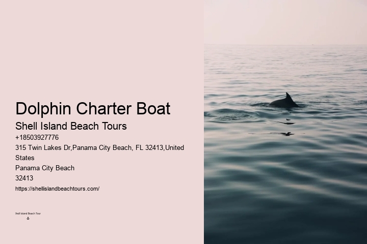 Dolphin Encounter