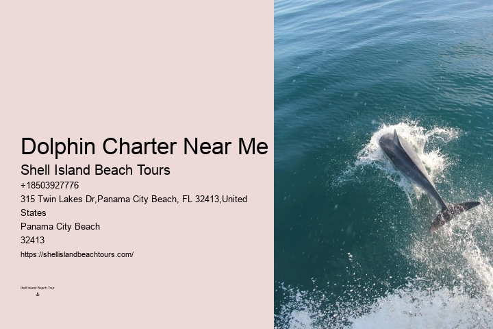 Swimming With Dolphin Tours Panama City Beach