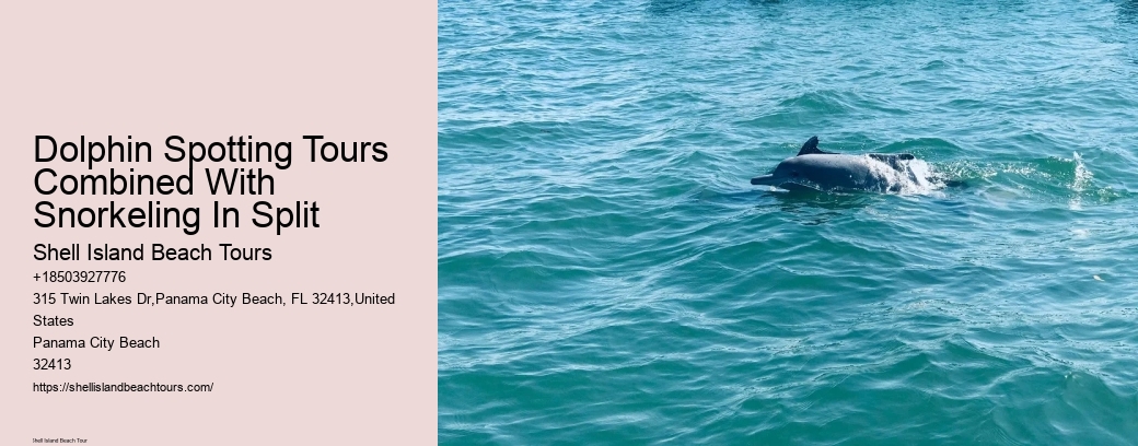 Dolphin Spotting Tours Combined With Snorkeling In Split