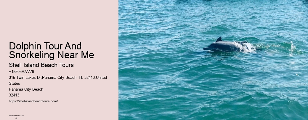 Dolphin Tour And Snorkeling Near Me