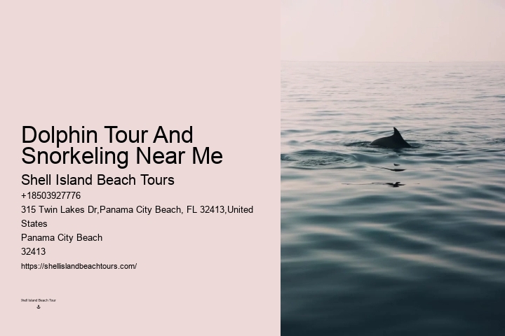 PCB Dolphin Exploration Voyages