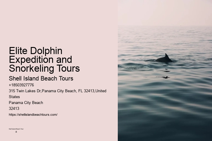 Panama City Beach dolphin spotting cruises