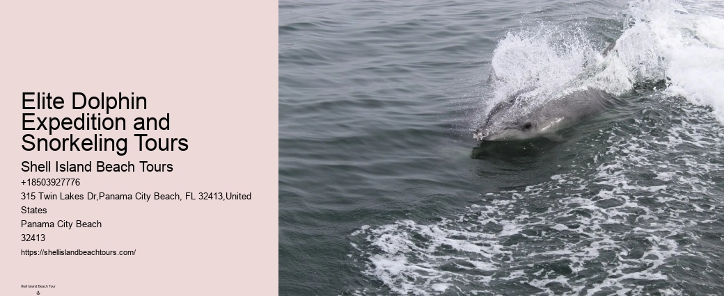 Are Panama City Beach dolphin tours suitable for people with disabilities