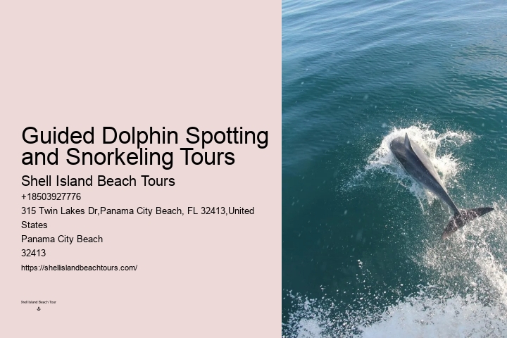 Split Diving Trips Combined With Dolphin Watching