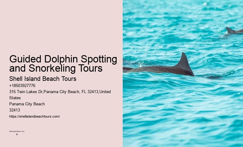 How Much Does It Cost To Swim With The Dolphins In Panama City Beach