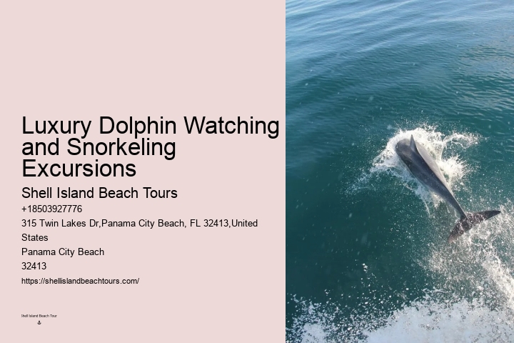 Are dolphin tours in Panama City Beach narrated by guides