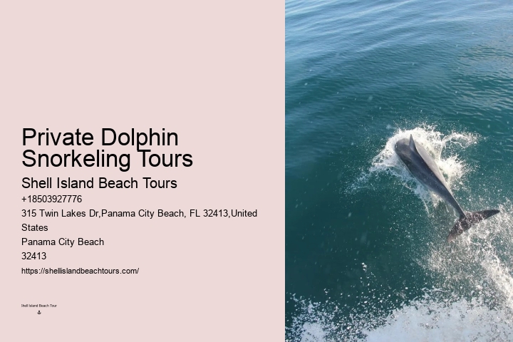Dolphin Boat Adventures in PCB
