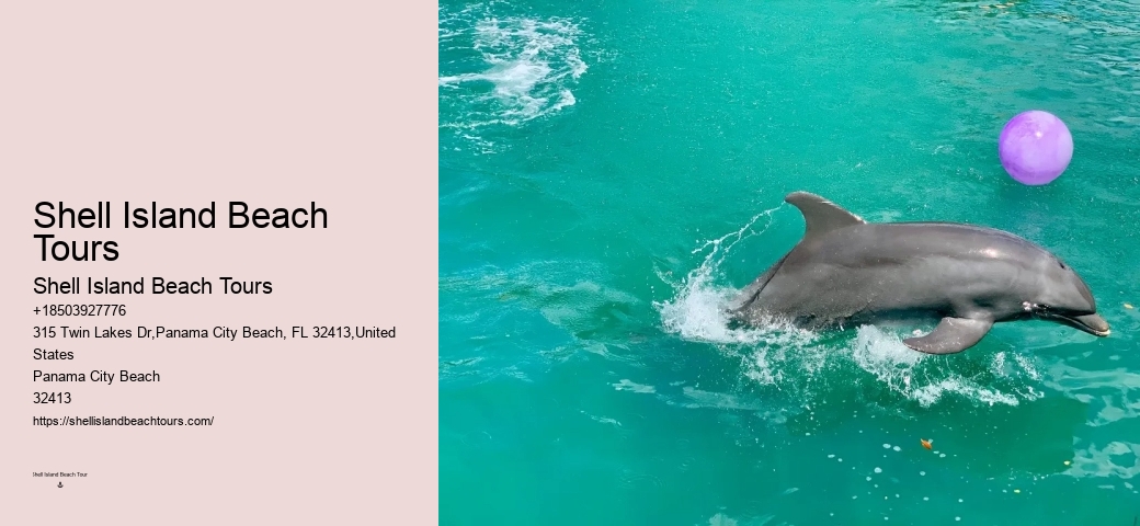 Panama City Beach wildlife tours including dolphins