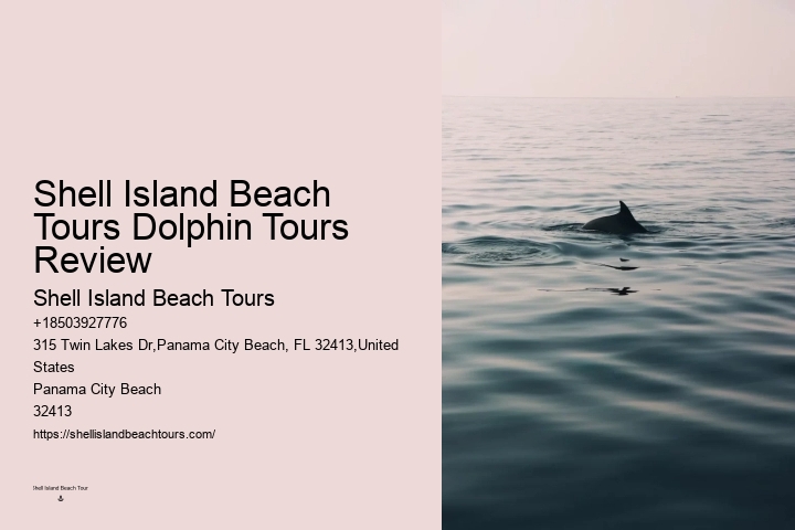 Split Charter Dolphin Snorkeling Tours