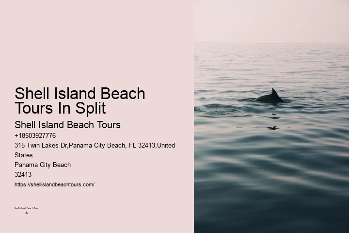 Best Dolphin Tours Panama City Beach