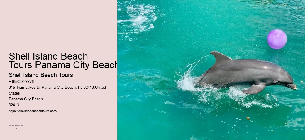 Private Dolphin Snorkeling Tours