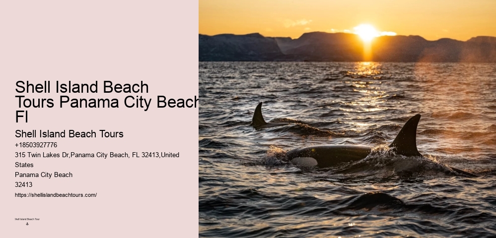 Dolphin Watch 30a