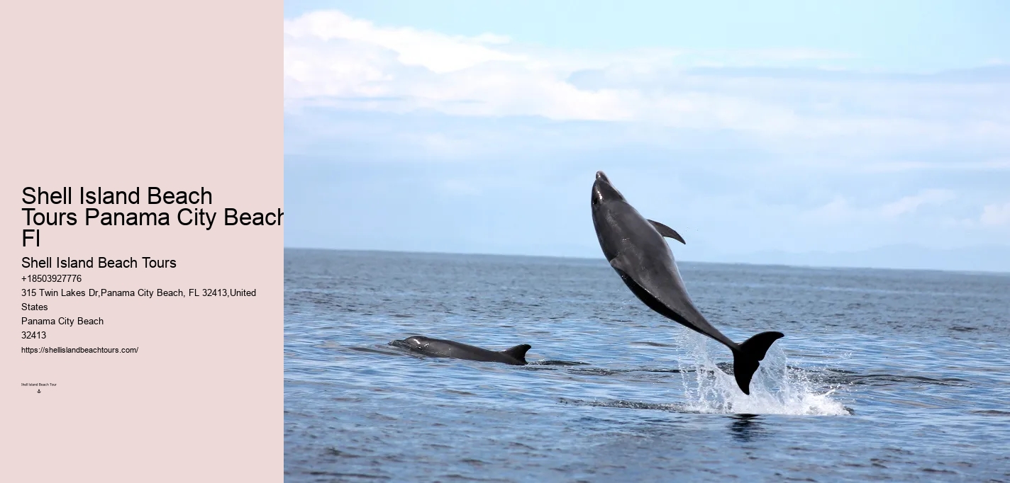 This Is How Dolphins 'see' Humans With Echolocation