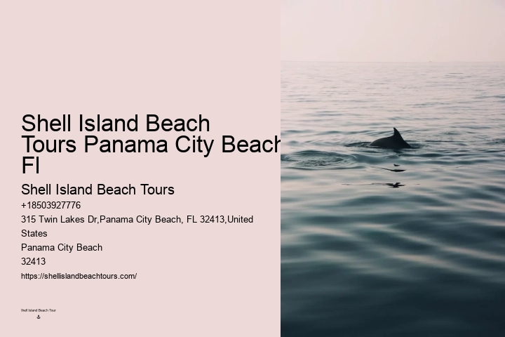 PCB Dolphin Discovery Excursions