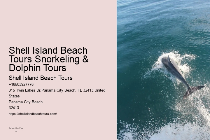 Split Sunrise Dolphin Watching And Snorkeling Trips