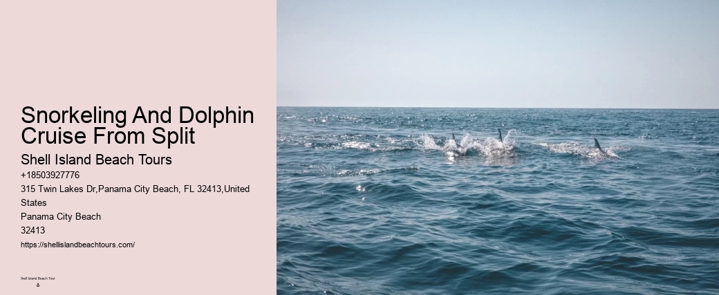 What Is The Natural Enemy Of Dolphins