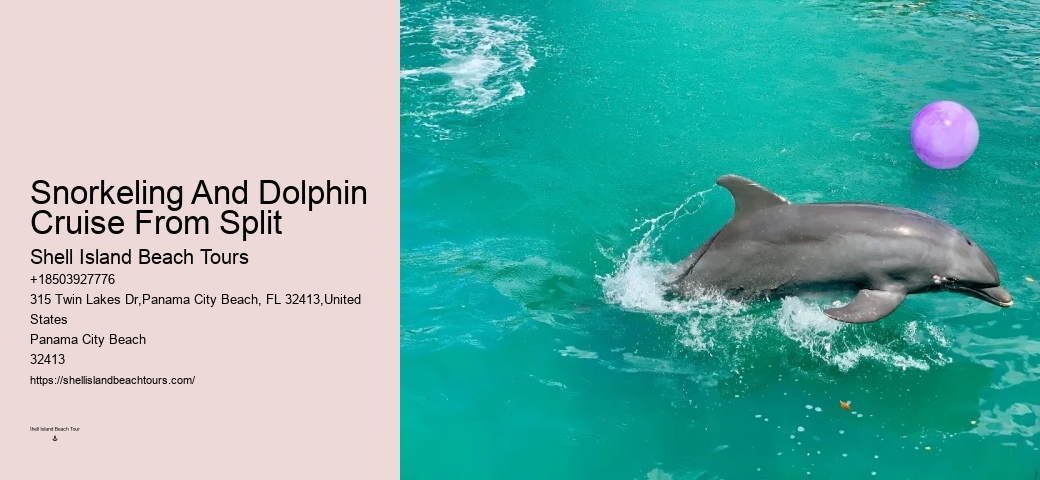 Split Private Luxury Dolphin And Snorkeling Tours
