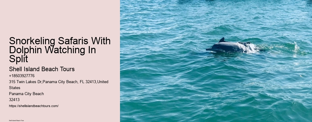 Snorkeling Safaris With Dolphin Watching In Split