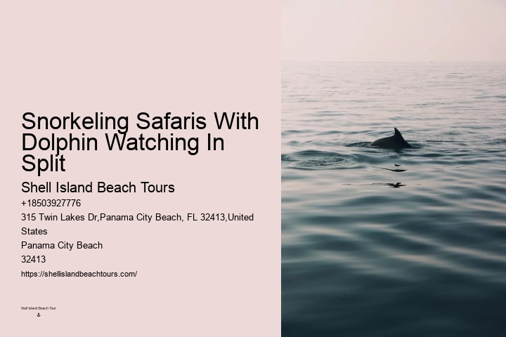 Swimming With Dolphins