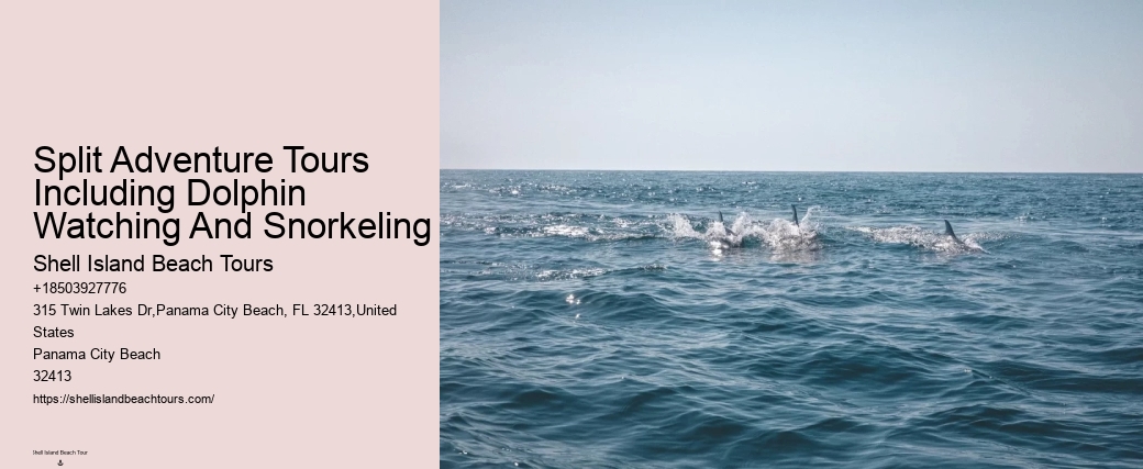 Split Educational Dolphin And Snorkeling Cruises