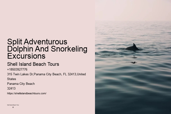 Blue Dolphin Snorkeling Tours