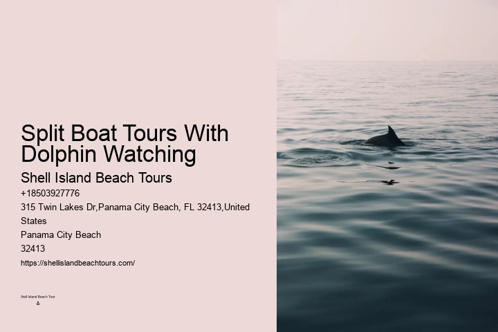 5 Reasons Not To Swim With Dolphins