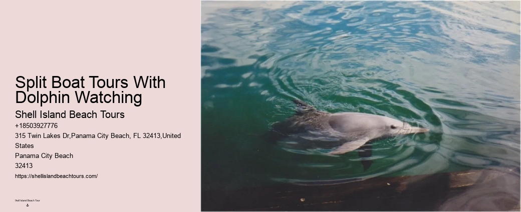 Panama City Beach Dolphin Sunset Cruise