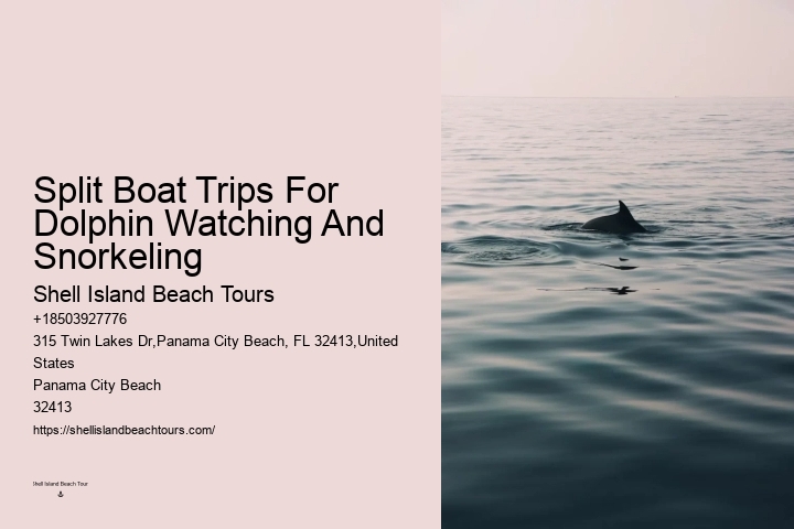 Are Untrained Dolphins Friendly