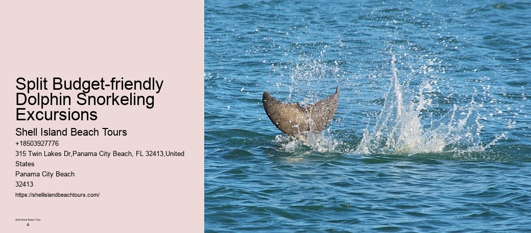 Best Dolphin Cruise Panama City Beach