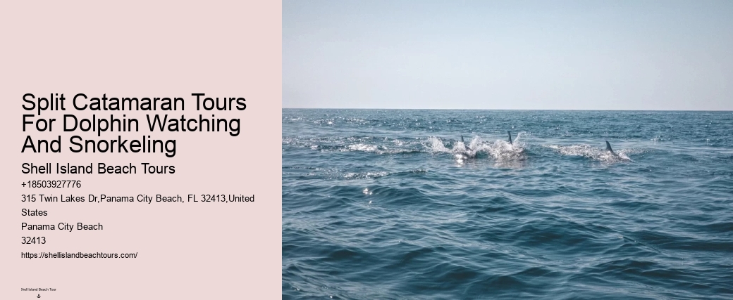 The Ugly Truth About Dolphin Shows