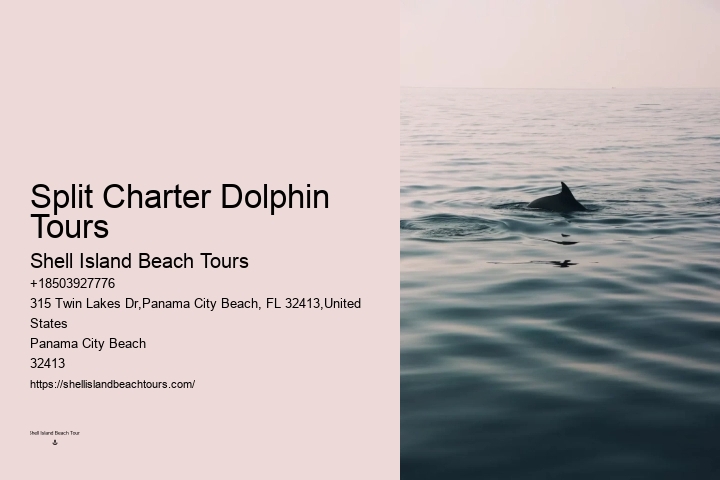 Split Exclusive Charters For Dolphin And Snorkeling Adventures