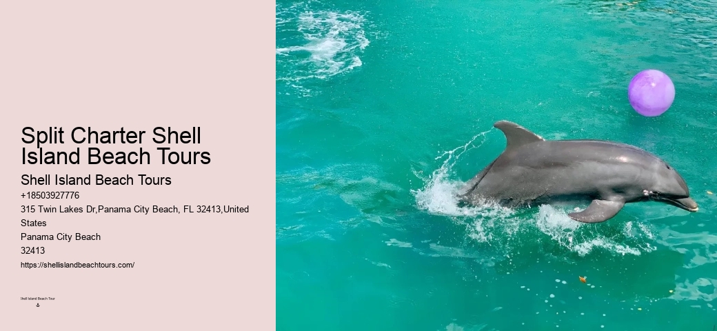 Do dolphin tours in Panama City Beach guarantee sightings