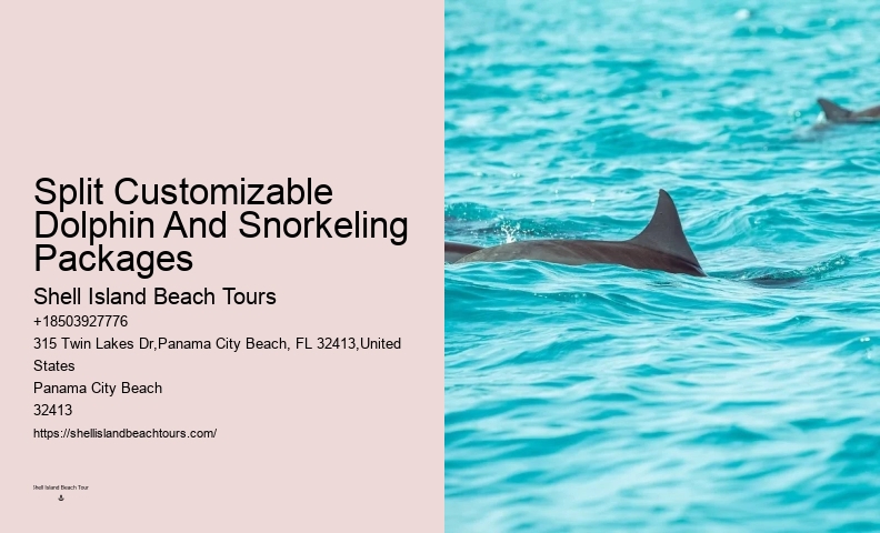 Split Expert-led Snorkeling And Dolphin Expeditions