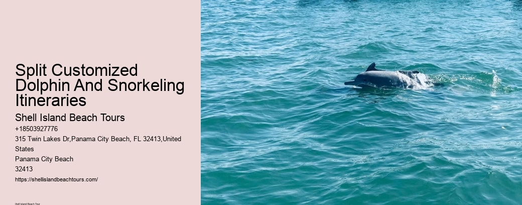 Split Customized Dolphin And Snorkeling Itineraries