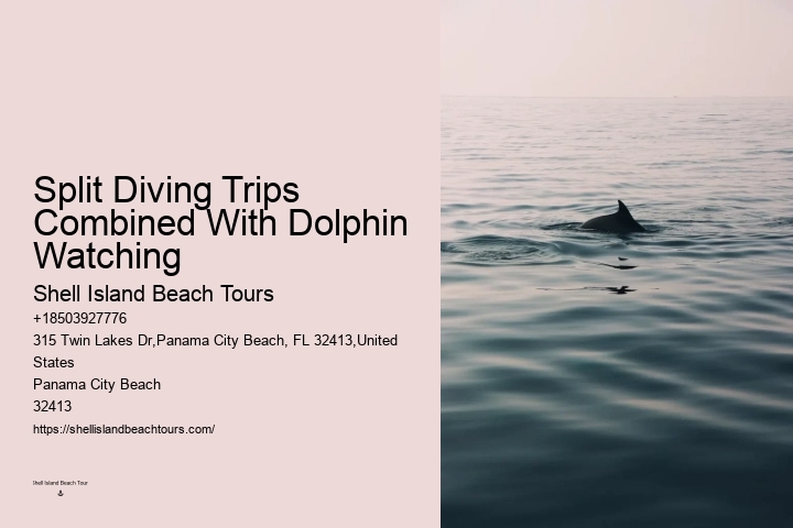 Why Do Dolphins Swim With Cruise Ships