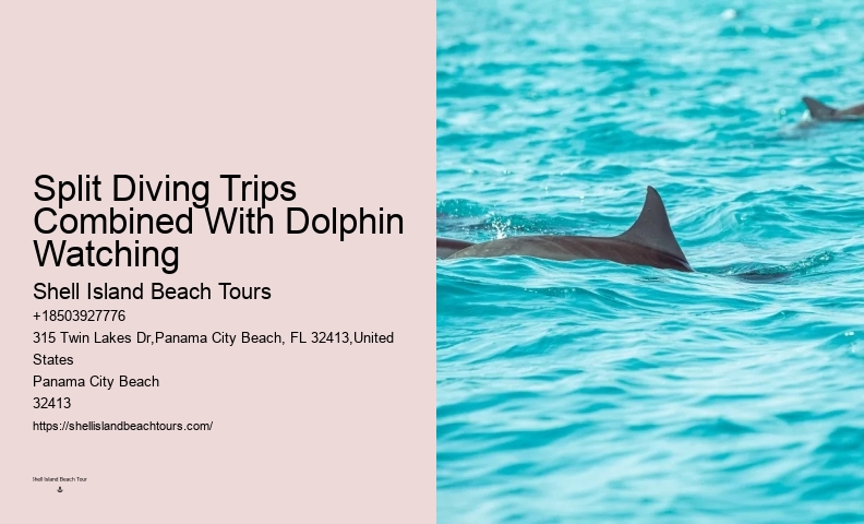 Split Unforgettable Dolphin And Snorkeling Experiences