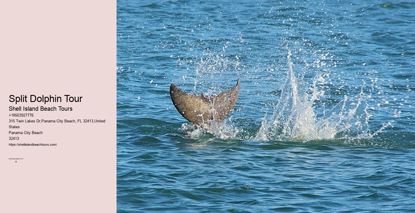 Port Aransas Dolphin Tours