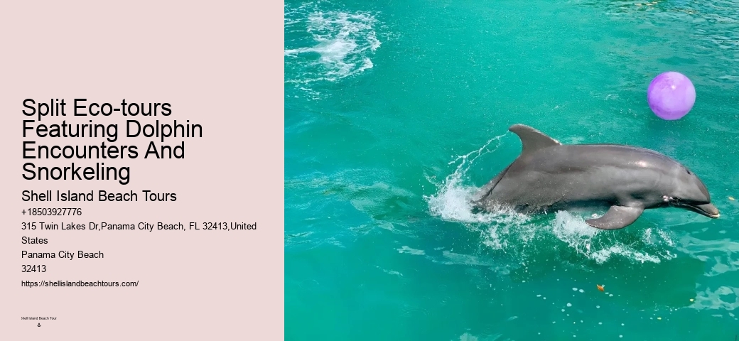 Private Dolphin Tours Orange Beach