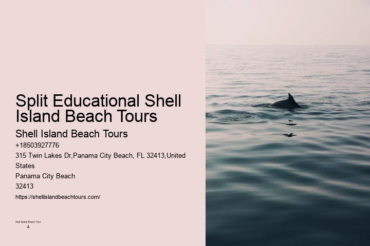 Snorkeling Safaris With Dolphin Watching In Split