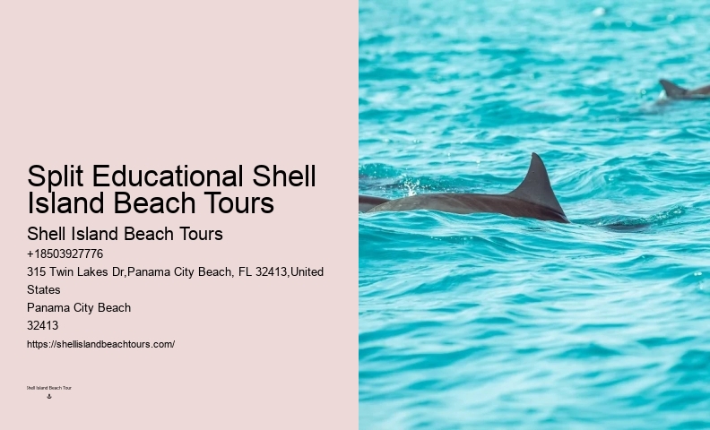 Panama City Beach Dolphin Boat Tour