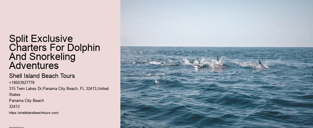 Dolphin behavior