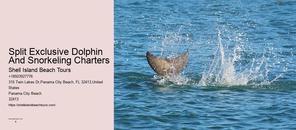 Split Customized Snorkeling And Dolphin Itineraries