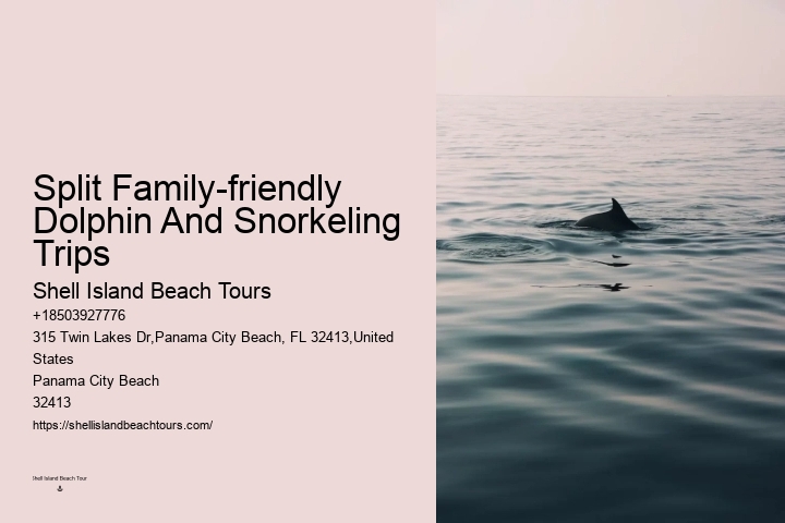 Dolphin Watching Excursions in PCB