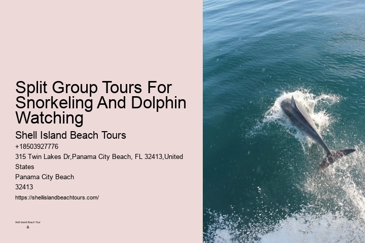 Split Educational Dolphin And Snorkeling Tours