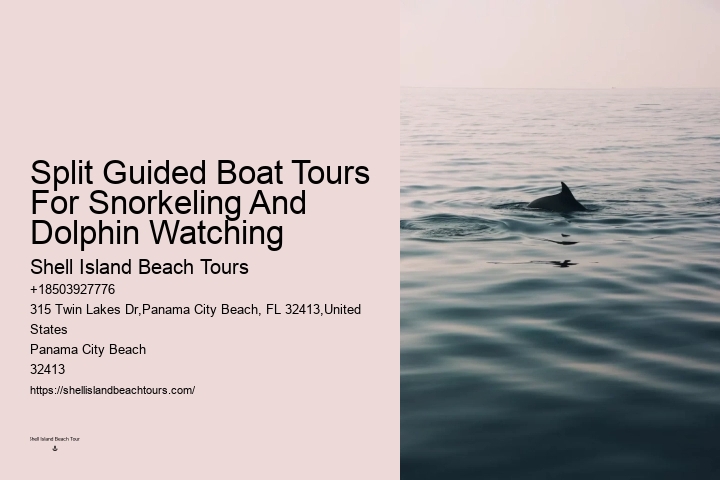 PCB Dolphin Exploration Experiences